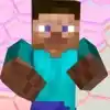 Poki Minecraft