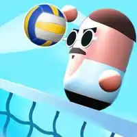 Juegos de Voleibol